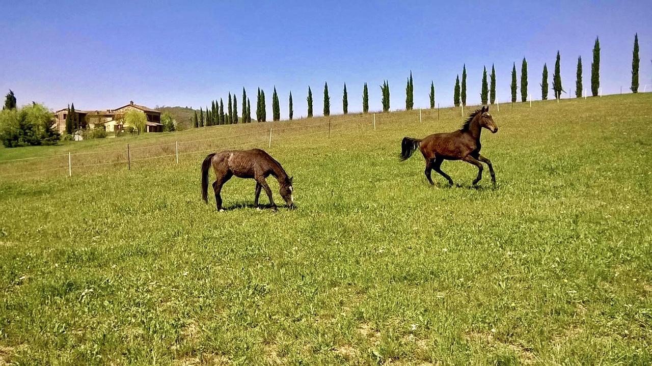 Vila Podere Le Volte Pergine Valdarno Exteriér fotografie